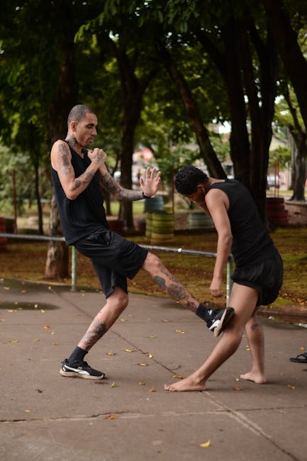 Características Técnicas de Veículos Leves